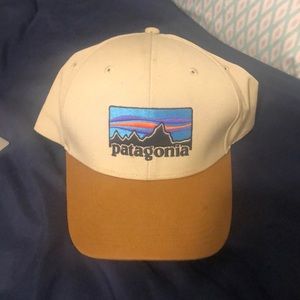 Patagonia trucker hat